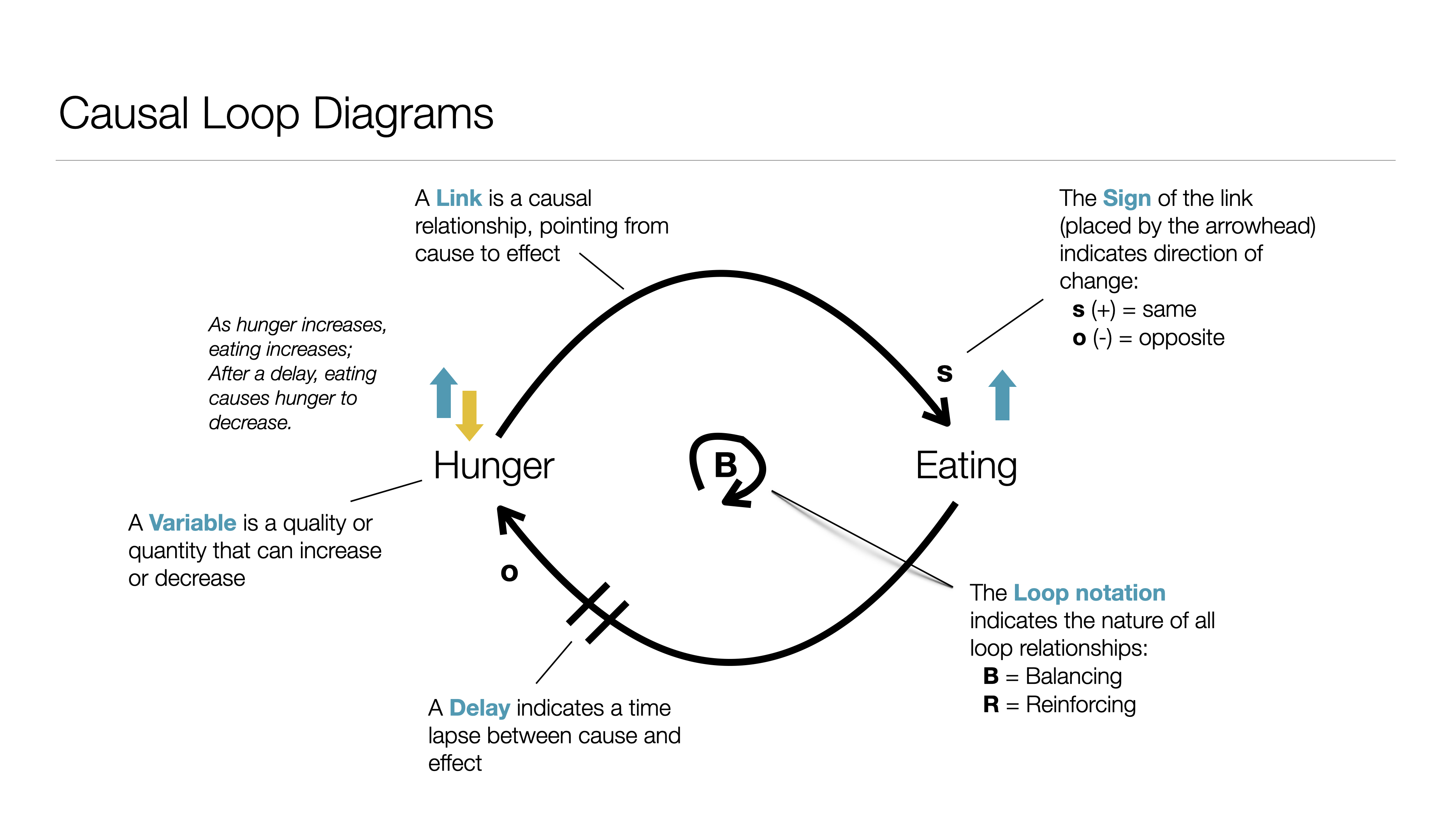 Causal Loop Diagrams Model System Dynamics 6662